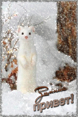 Зимний привет!~Анимационные блестящие открытки GIF