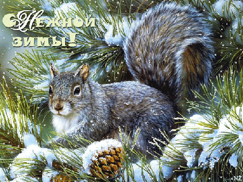 Снежной зимы!~Анимационные блестящие открытки GIF
