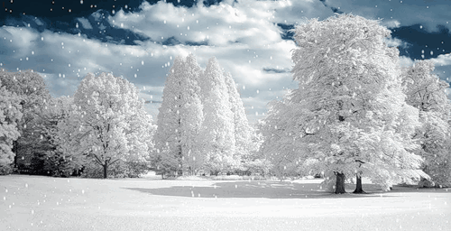 Снег~Анимационные блестящие открытки GIF