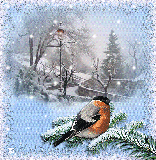 Снегирь зимой~Анимационные блестящие открытки GIF