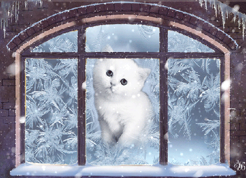 Зима смотрит в окошко~Анимационные блестящие открытки GIF