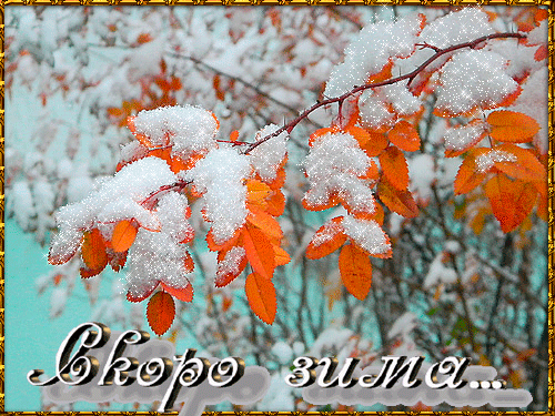 Скоро зима~Анимационные блестящие открытки GIF