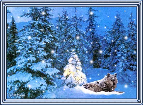 Зимний лес и волк~Анимационные блестящие открытки GIF