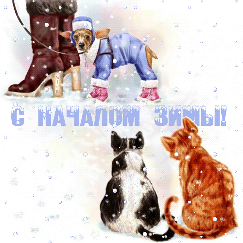 С началом Зимы!~Анимационные блестящие открытки GIF