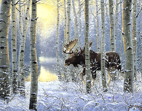 Лось в зимнем лесу~Анимационные блестящие открытки GIF