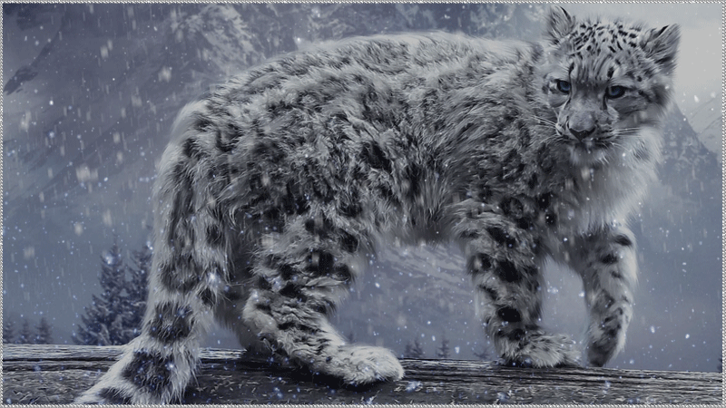 Ирбис снежный леопард~Анимационные блестящие открытки GIF