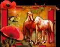 Лошади и маки - Фото животных открытки и картинки