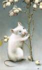 Белая мышь - Фото животных открытки и картинки