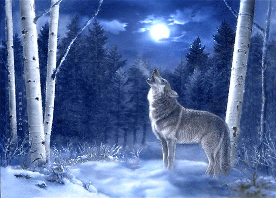 Одинокий волк~Анимационные блестящие открытки GIF