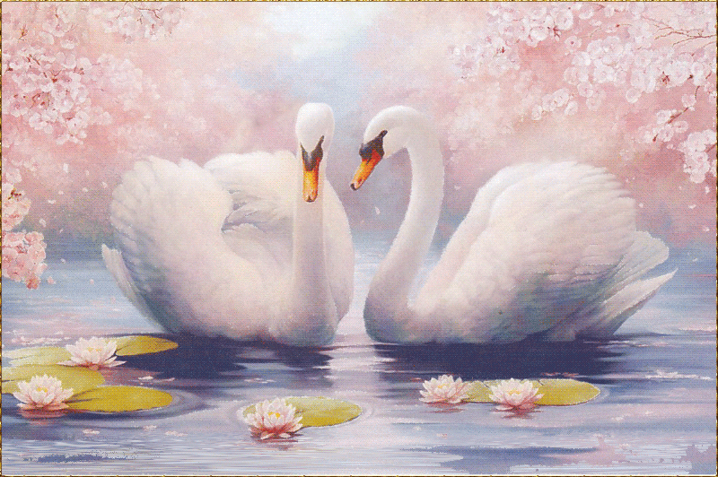 Картина «Два лебедя»~Анимационные блестящие открытки GIF
