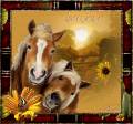 Лошади - Фото животных открытки и картинки