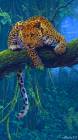 Леопард - Фото животных открытки и картинки