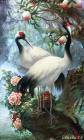 Красивые птицы - Фото животных открытки и картинки