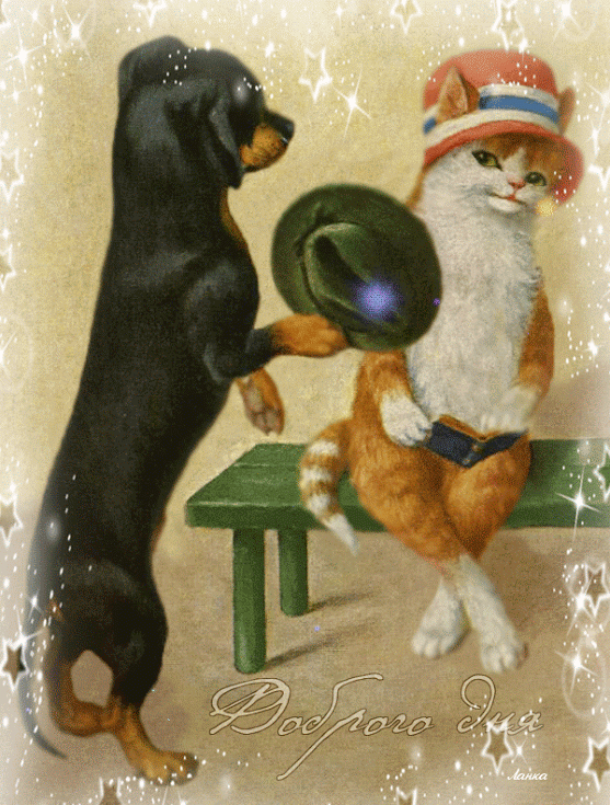 Пёс джентльмен и леди Кошка~Анимационные блестящие открытки GIF