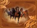 Табун лошадей - Фото животных открытки и картинки