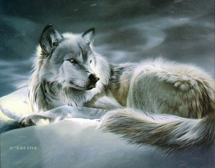 Одинокий волк~Анимационные блестящие открытки GIF
