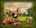 Оленята - Фото животных открытки и картинки