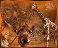 Жираф - Фото животных открытки и картинки