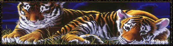 Красивые тигрята~Анимационные блестящие открытки GIF
