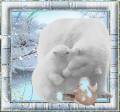 Белые медведи - Фото животных открытки и картинки