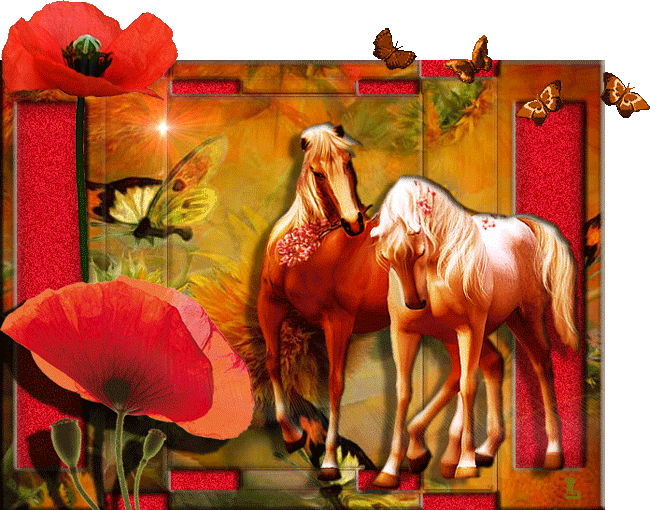 Лошади и маки~Анимационные блестящие открытки GIF