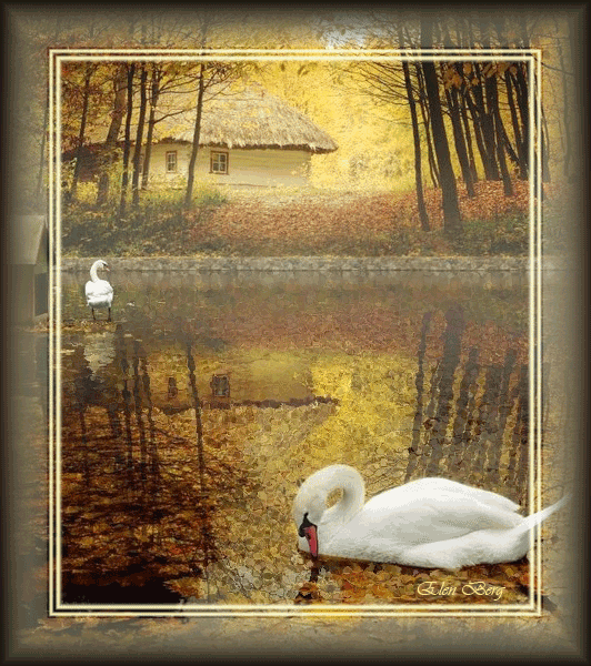 Белый лебедь на пруду~Анимационные блестящие открытки GIF