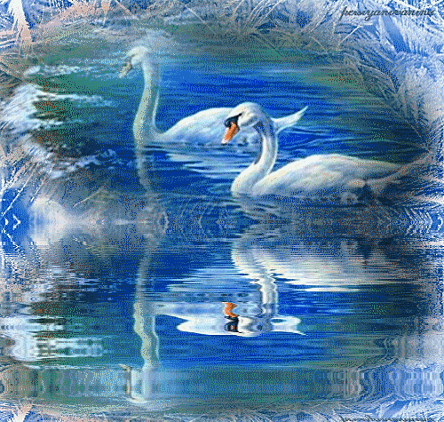 Лебеди~Анимационные блестящие открытки GIF