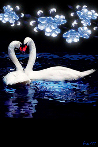 Лебеди целуются~Анимационные блестящие открытки GIF