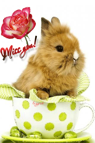 Кролик в кружке~Анимационные блестящие открытки GIF