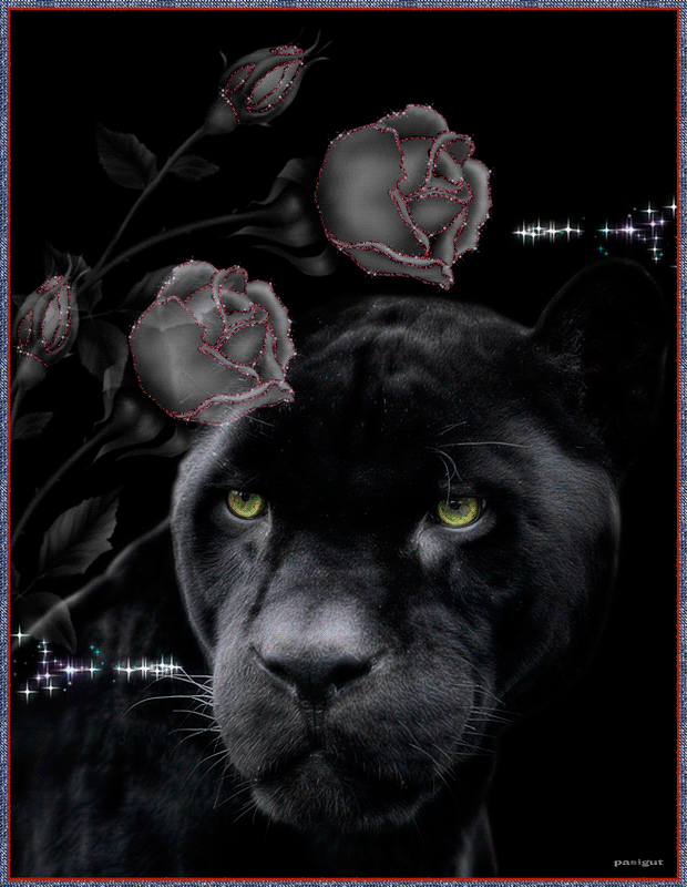 Пантера с розами~Анимационные блестящие открытки GIF