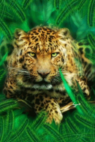 Леопард в траве~Анимационные блестящие открытки GIF