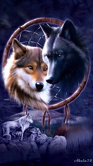 Анимация с волками~Анимационные блестящие открытки GIF