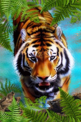 Уссурийский тигр~Анимационные блестящие открытки GIF