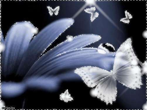 бабочки~Анимационные блестящие открытки GIF