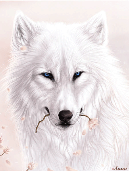 Белый волк~Анимационные блестящие открытки GIF