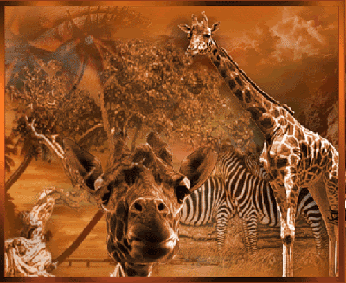 Жираф~Анимационные блестящие открытки GIF