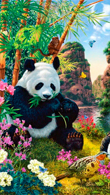 Картинка Панда~Анимационные блестящие открытки GIF