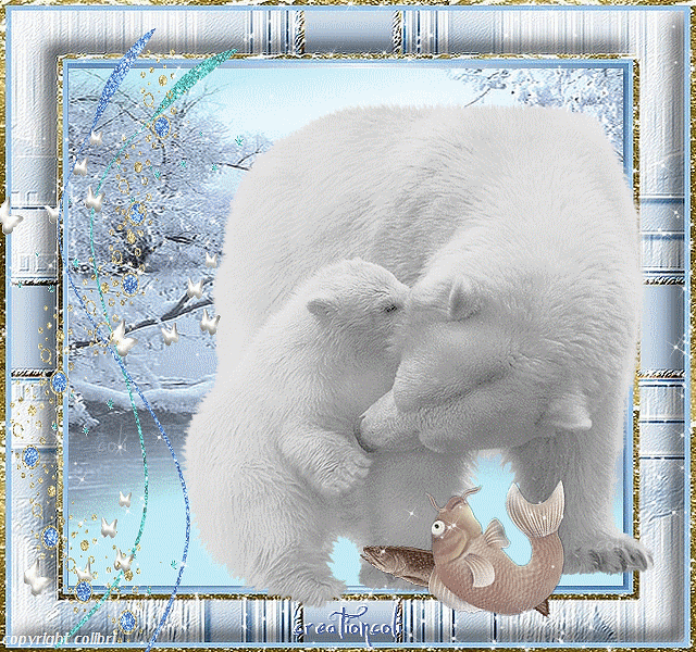 Белые медведи~Анимационные блестящие открытки GIF