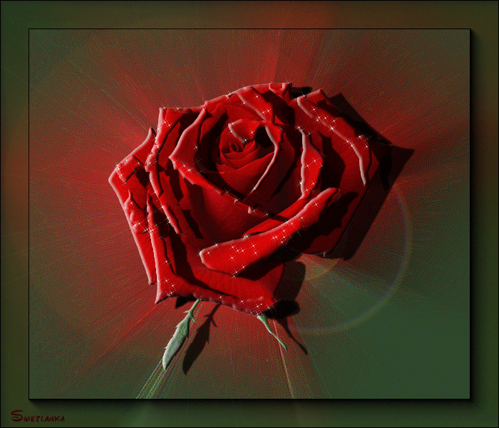 Роза~Анимационные блестящие открытки GIF