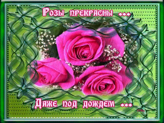 Розы прекрасны даже под дождём~Анимационные блестящие открытки GIF