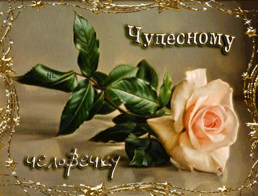 Красивая роза для чудесного человечка~Анимационные блестящие открытки GIF