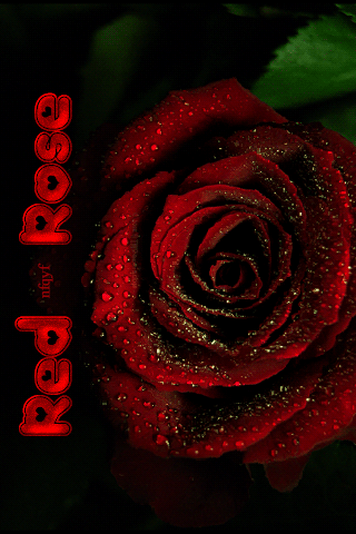 Red Rose~Анимационные блестящие открытки GIF