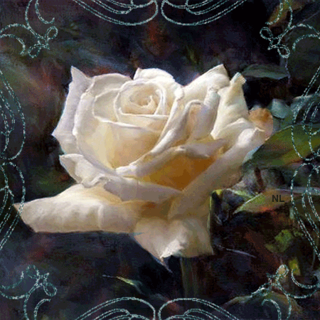 Белая роза~Анимационные блестящие открытки GIF