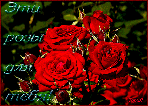Розы для тебя~Анимационные блестящие открытки GIF