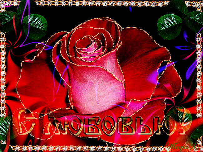 С любовью к Вам  роза~Анимационные блестящие открытки GIF