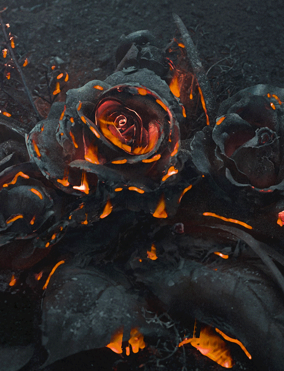 Гифка черная роза в огне~Анимационные блестящие открытки GIF