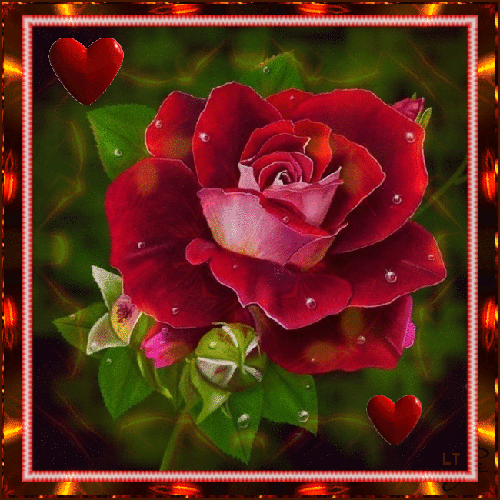 Сердечная роза~Анимационные блестящие открытки GIF