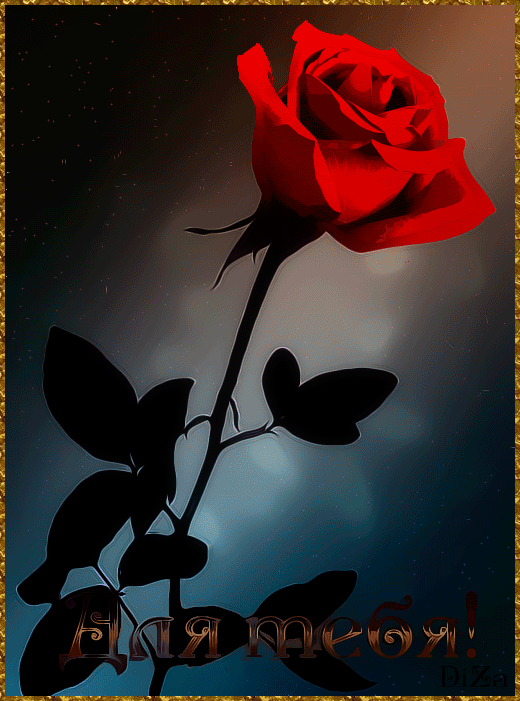 Роза для Тебя~Анимационные блестящие открытки GIF
