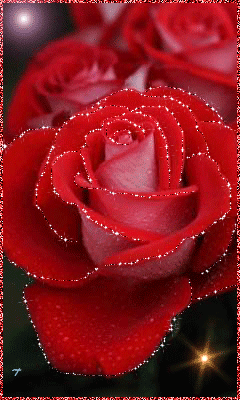 Шикарная роза~Анимационные блестящие открытки GIF