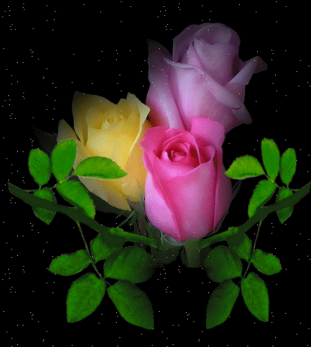 Розы~Анимационные блестящие открытки GIF